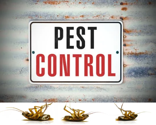 Extermination Professionals Interior Exterior