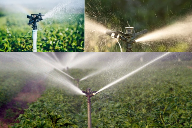 Irrigation and Sprinkler Systems